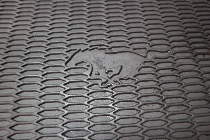 2014 Ford Mustang Rubber Floor Mat Front OEM